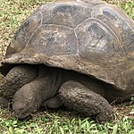 Photo taken by Meggan M