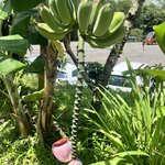 Photo taken by Cindy R