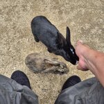 Photo taken by Zulhelmi R