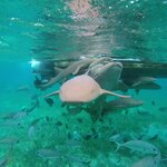 Photo taken by LaTasha J