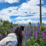 Photo taken by Emily H