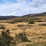 Photo taken by Devon B