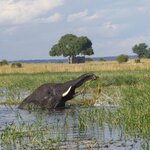 Photo taken by Kaye D