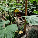 Photo taken by Melanie H