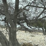 Photo taken by Nigel R