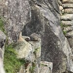 Photo taken by Alyssa R