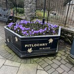 Photo taken by Marcy B