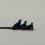 Photo taken by Thomas L