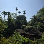 Photo taken by Audrea H