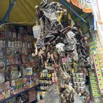 Photo taken by Collins M