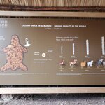 Photo taken by Helen L