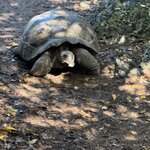 Photo taken by Gary W