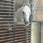 Photo taken by Karen C