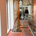 Photo taken by Amy W