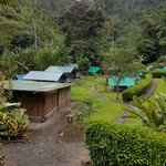 Photo taken by Anne T