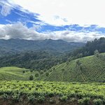 Photo taken by Fuad A