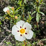 Photo taken by Joey R