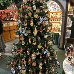 Photo taken by Lisa L