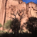 Photo taken by Marie W