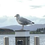 Photo taken by David L