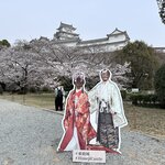 Photo taken by Norma M