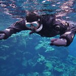 Photo taken by Grace M