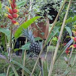 Photo taken by Ciarra N