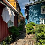 Photo taken by Sullivan S