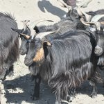 Photo taken by Karen W