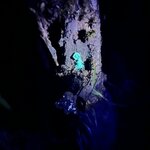 Photo taken by Wilbert A