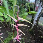 Photo taken by Wilbert A