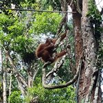 Photo taken by Sabiha K