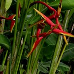 Photo taken by Nancy P