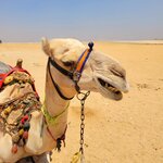 Photo taken by Kim M