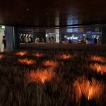 Photo taken by John K