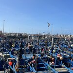 Photo taken by Betsy V