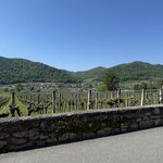 Photo taken by Kristin M