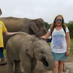 Photo taken by Michelle B