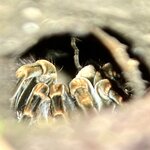 Photo taken by Ben B