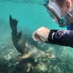 Photo taken by Patricia D