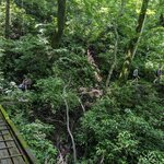 Photo taken by Jim B