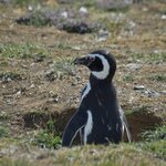 Photo taken by Marcia R