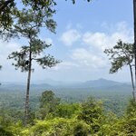 Photo taken by Cynthia C