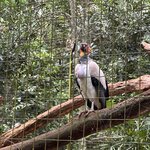 Photo taken by Kathy .