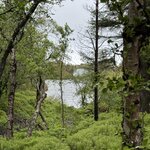 Photo taken by Dawn S