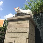 Photo taken by Allyson A