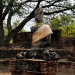 Photo taken by Felice Z