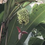 Photo taken by Anna L