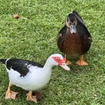 Photo taken by Ben B