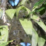 Photo taken by Joyce C